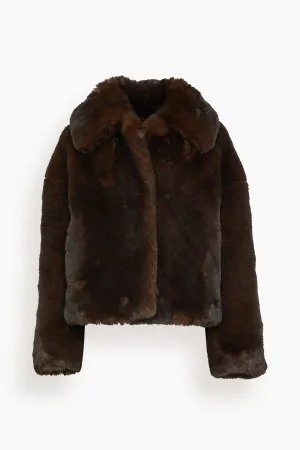 Daniel Coat in Marron