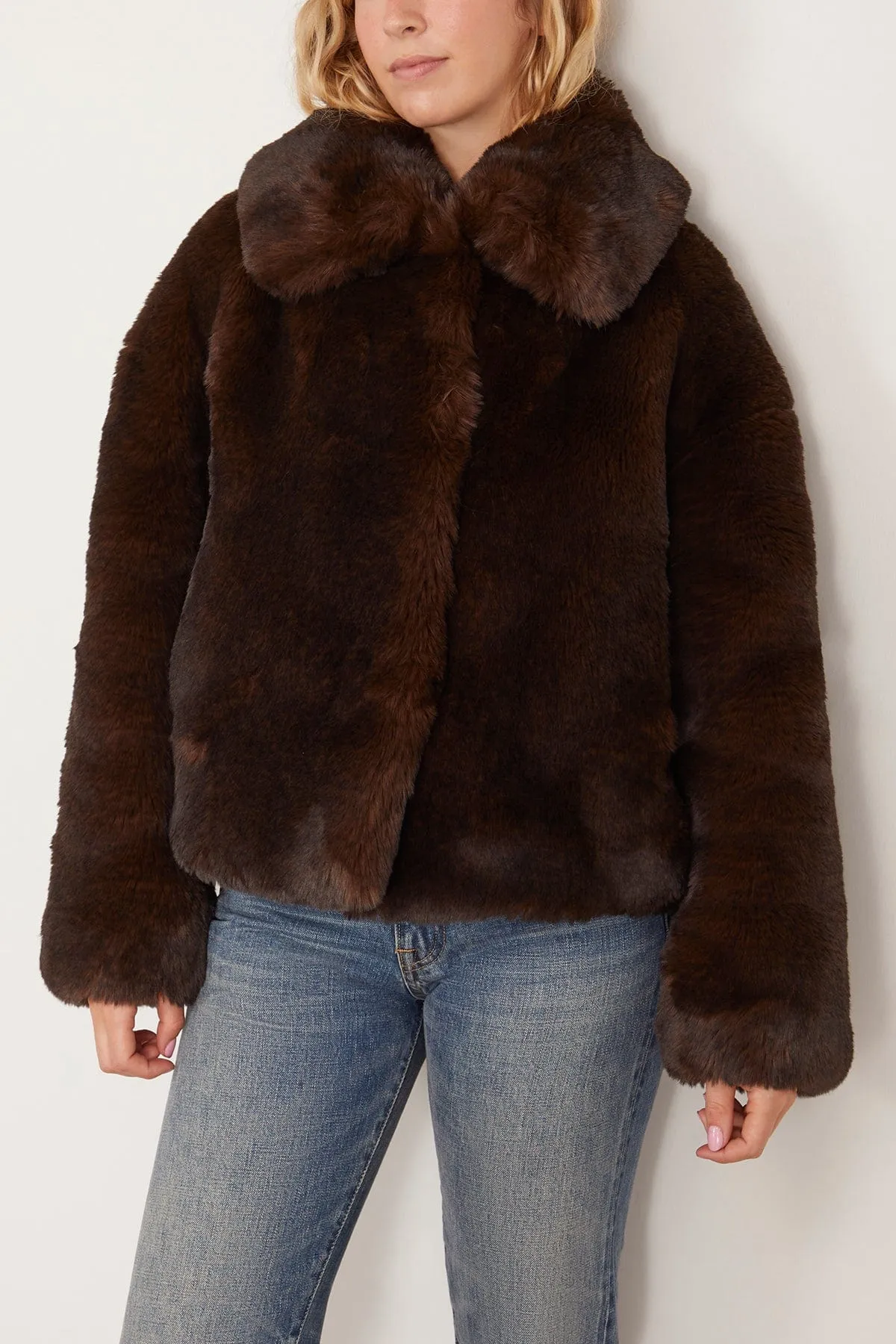 Daniel Coat in Marron