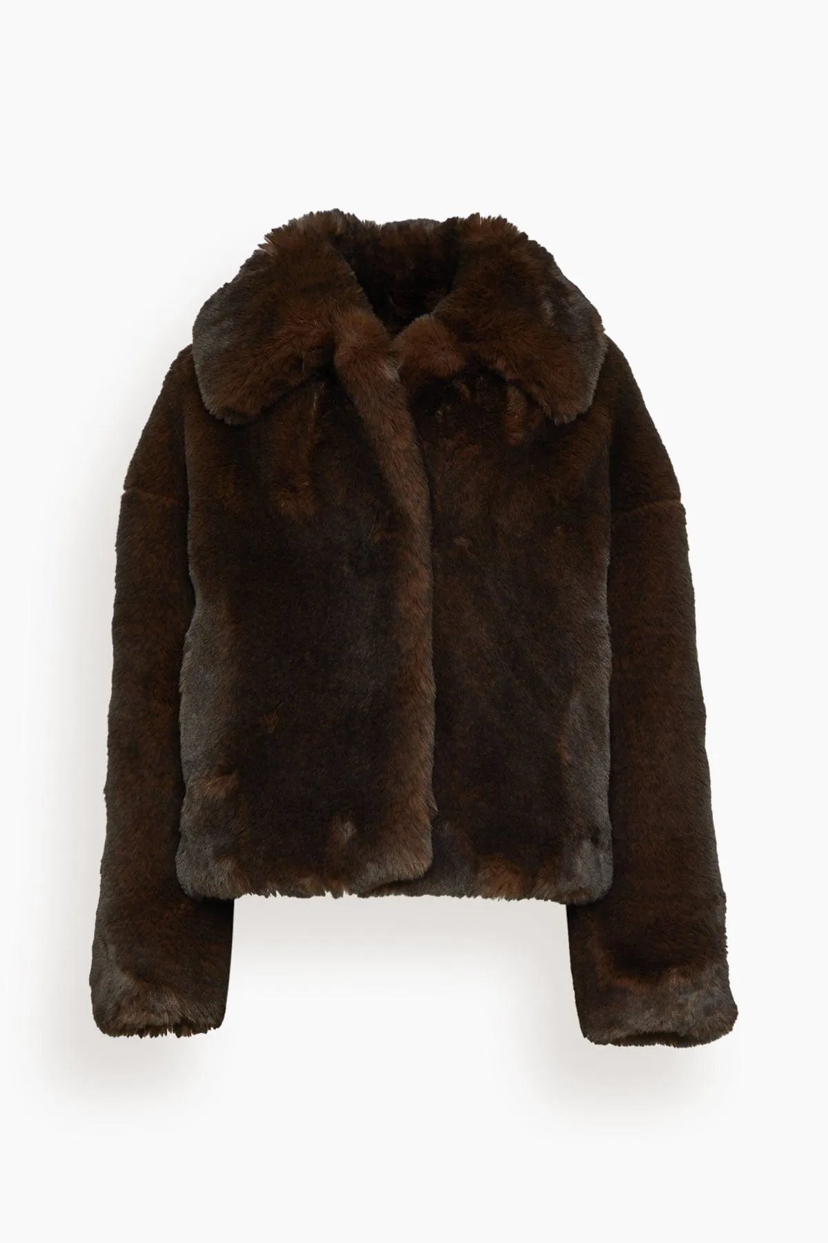 Daniel Coat in Marron