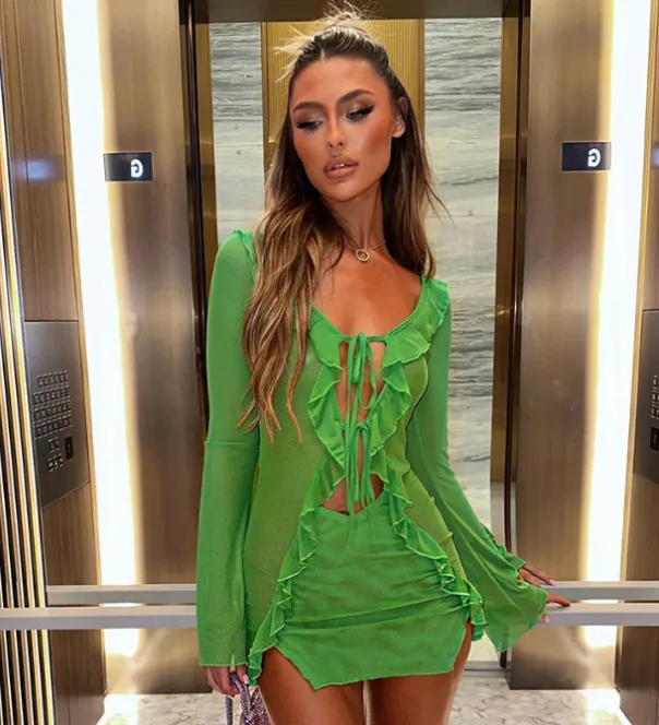 Mesh Panel Long Sleeve Ruffle Dress