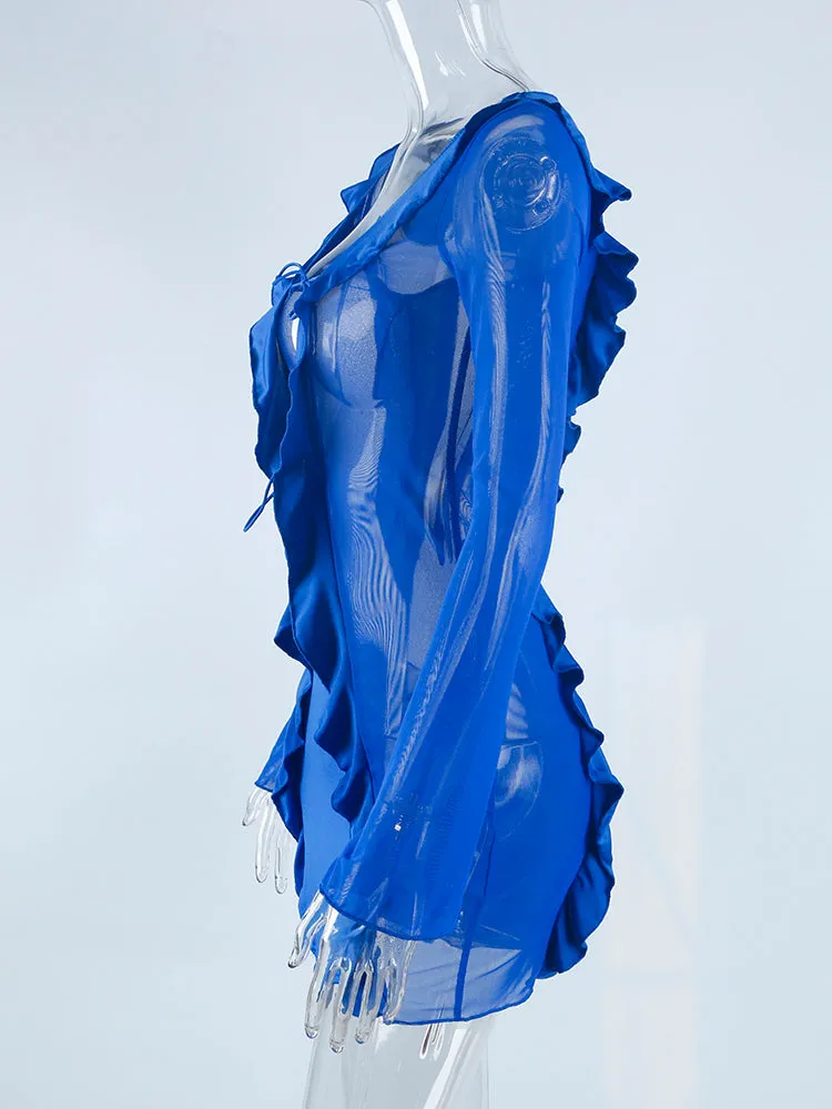 Mesh Panel Long Sleeve Ruffle Dress